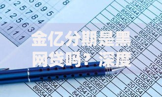 金亿分期是黑网贷吗？深度解析其合法性及风险识别
