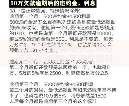 京东借钱逾期还不上以后有什么影响?后果与应对方案解析 京东借钱逾期还不上以后有什么影响?后果与应对方案解析