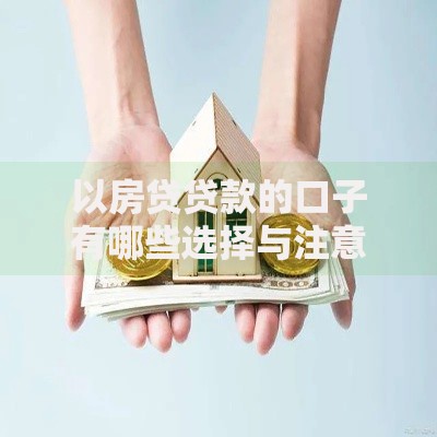 以房贷贷款的口子有哪些选择与注意事项？