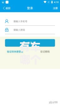 有车哪个平台好下款?车主贷优选方案解析 有车哪个平台好下款?车主贷优选方案解析