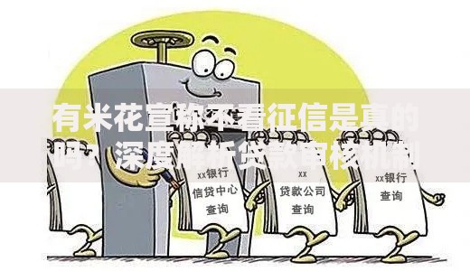 有米花宣称不看征信是真的吗?深度解析贷款审核机制 有米花宣称不看征信是真的吗?深度解析贷款审核机制