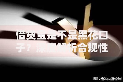 借贷宝是不是黑花口子？深度解析合规性与风险争议