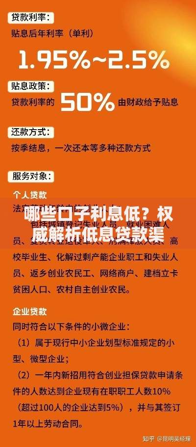哪些口子利息低？权威解析低息贷款渠道