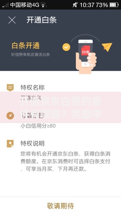 开通京东白条的条件有哪些？完整申请流程详解