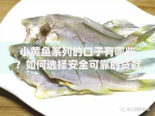 小黄鱼系列的口子有哪些？如何选择安全可靠的贷款渠道