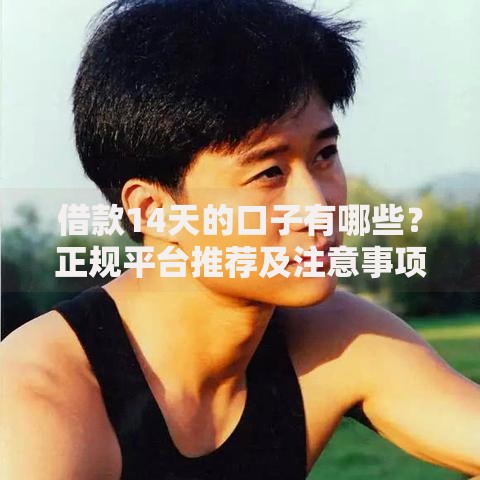 借款14天的口子有哪些？正规平台推荐及注意事项解析