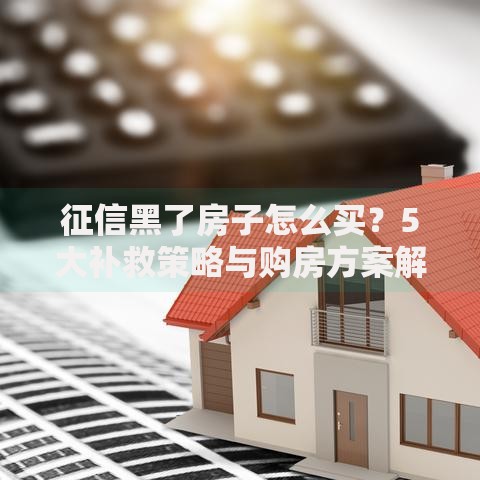 征信黑了房子怎么买？5大补救策略与购房方案解析
