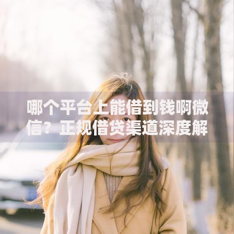 哪个平台上能借到钱啊微信？正规借贷渠道深度解析