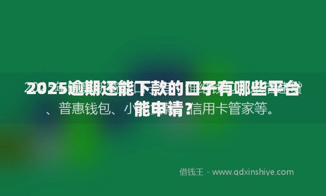 2025逾期还能下款的口子有哪些平台能申请？