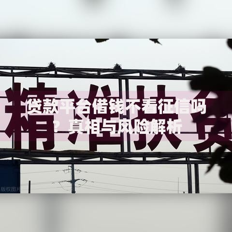 贷款平台借钱不看征信吗？真相与风险解析