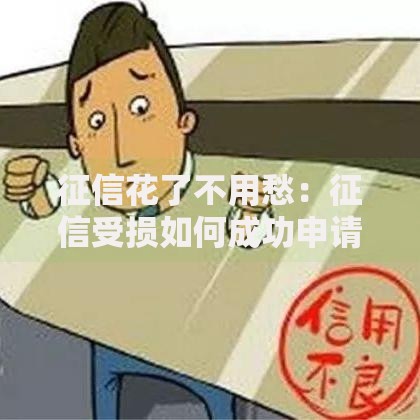 征信花了不用愁：征信受损如何成功申请贷款