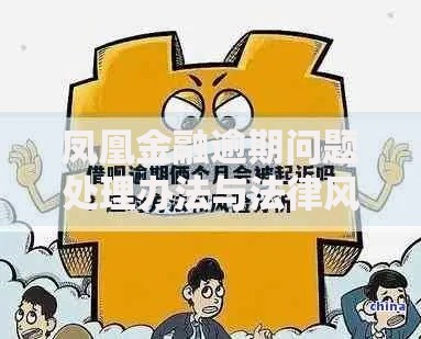 凤凰金融逾期问题处理办法与法律风险解析