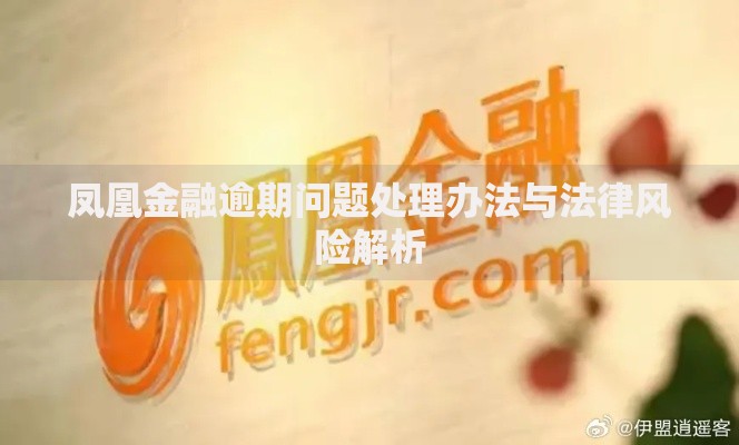 凤凰金融逾期问题处理办法与法律风险解析
