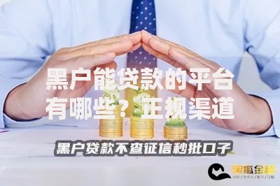 黑户能贷款的平台有哪些？正规渠道深度解析