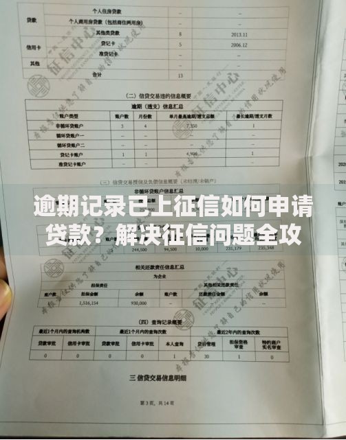 逾期记录已上征信如何申请贷款？解决征信问题全攻略