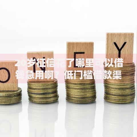 20岁征信花了哪里可以借钱急用啊？低门槛借款渠道解析