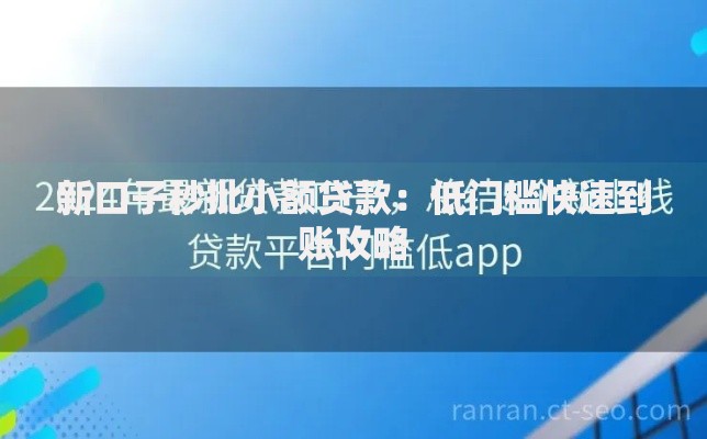 新口子秒批小额贷款：低门槛快速到账攻略