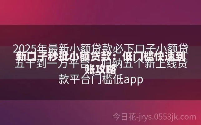 新口子秒批小额贷款：低门槛快速到账攻略