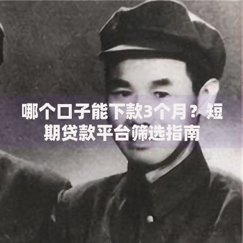 哪个口子能下款3个月？短期贷款平台筛选指南