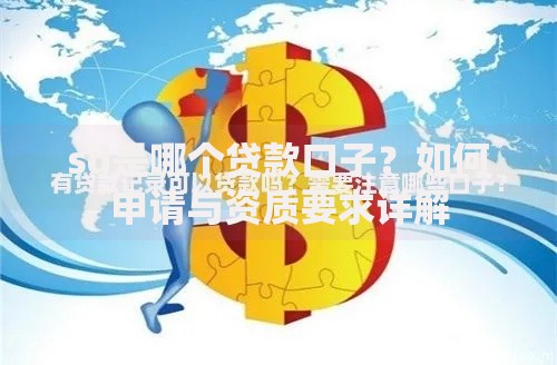 sd是哪个贷款口子？如何申请与资质要求详解