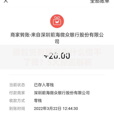 微粒贷有额度为什么借不了钱？5大原因解析