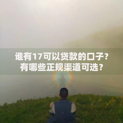 谁有17可以贷款的口子？有哪些正规渠道可选？