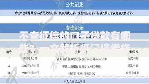 不查征信的口子贷款有哪些？一文解析低门槛借贷渠道
