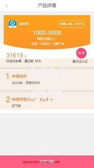 1000小额贷款必下口子：如何快速申请？全面解析正规平台与流程