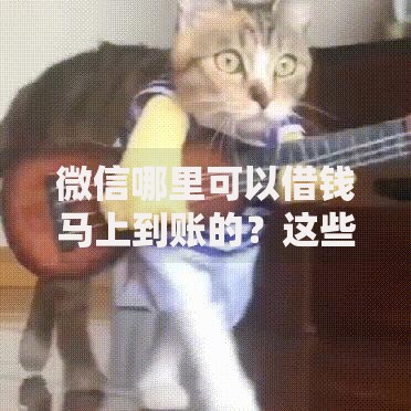 微信哪里可以借钱马上到账的？这些正规渠道安全又高效