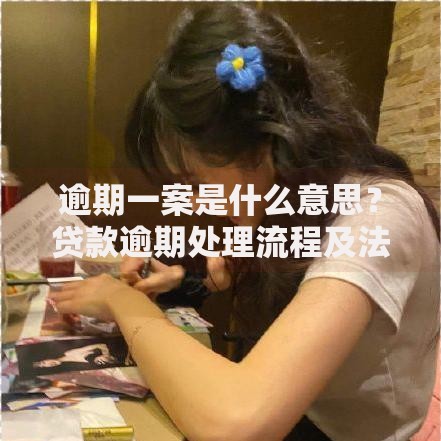 逾期一案是什么意思？贷款逾期处理流程及法律后果解析