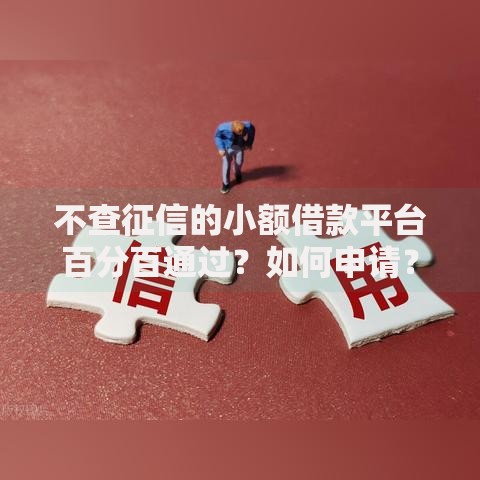 不查征信的小额借款平台百分百通过？如何申请？