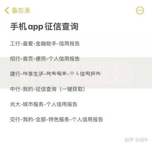 房子抵押要看征信吗怎么查？征信审查全流程解析