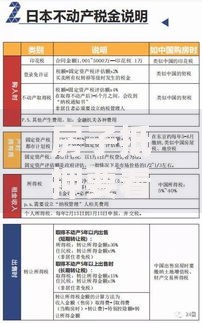 房子抵押要看征信吗怎么查？征信审查全流程解析