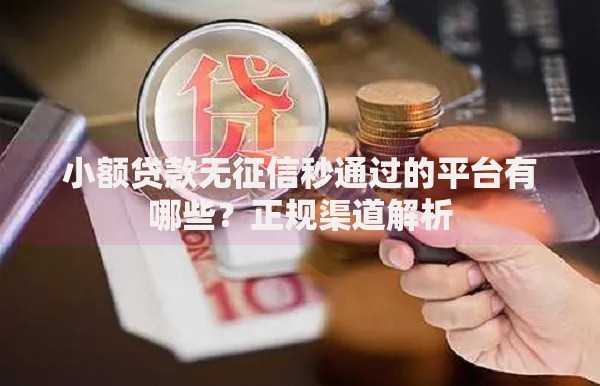 小额贷款无征信秒通过的平台有哪些？正规渠道解析