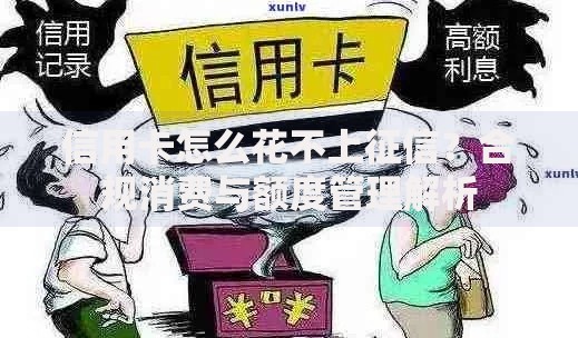 信用卡怎么花不上征信？合规消费与额度管理解析