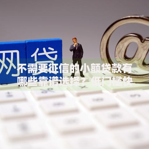 不需要征信的小额贷款有哪些靠谱选择？低门槛快速下款指南