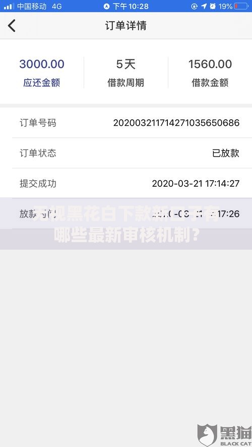 无视黑花白下款新口子有哪些最新审核机制？