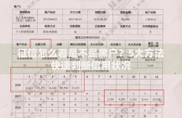 征信怎么看是不是黑户？5大方法快速判断信用状况