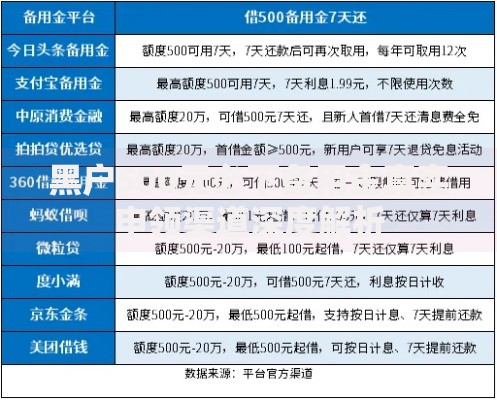 黑户500元必下备用金真实申领渠道深度解析