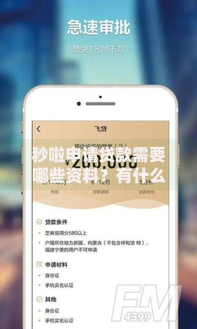 秒啦申请贷款需要哪些资料？有什么特别要求？专业指南
