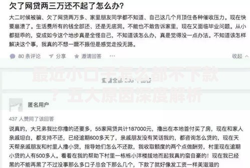 最近小口子怎么都不下款？五大原因深度解析
