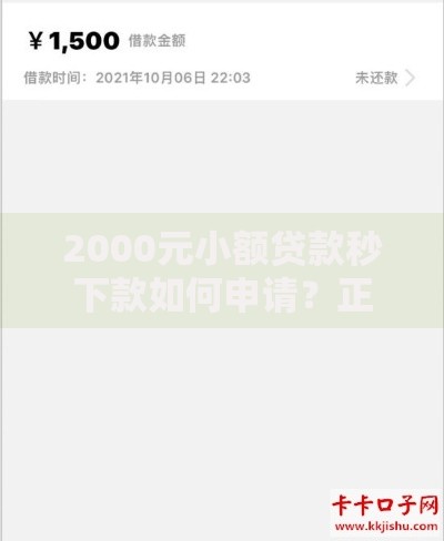 2000元小额贷款秒下款如何申请？正规渠道深度解析