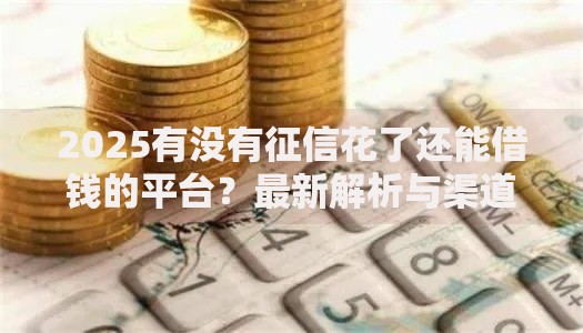 2025有没有征信花了还能借钱的平台？最新解析与渠道推荐