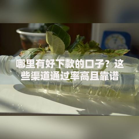 哪里有好下款的口子？这些渠道通过率高且靠谱