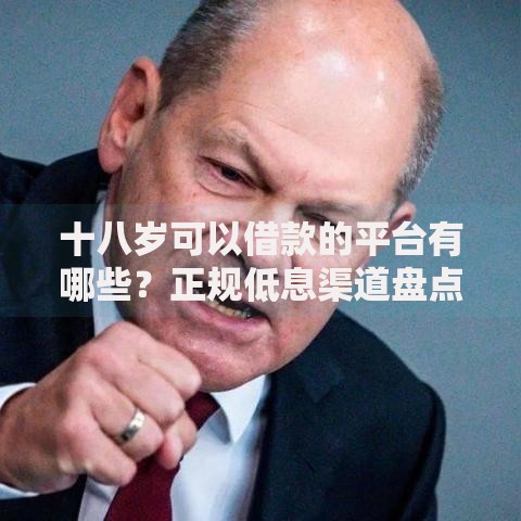 十八岁可以借款的平台有哪些？正规低息渠道盘点