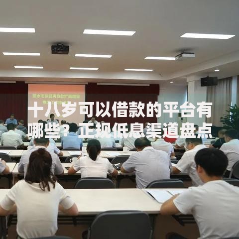 十八岁可以借款的平台有哪些？正规低息渠道盘点