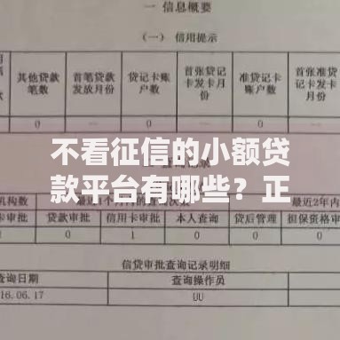 不看征信的小额贷款平台有哪些？正规低门槛渠道解析