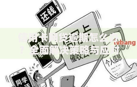 信用卡网贷逾期怎么办？全面解决策略与应对指南