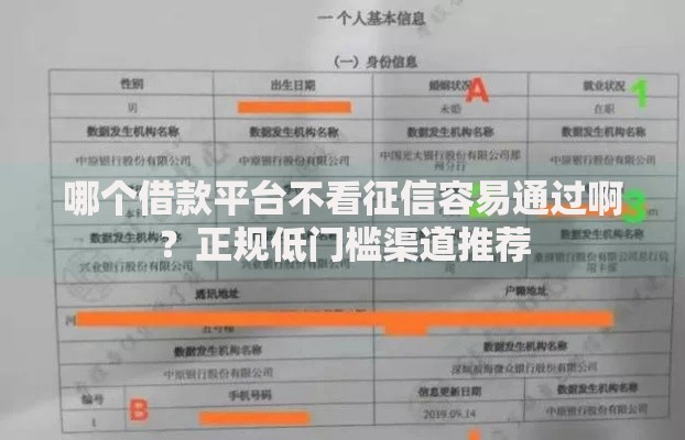 哪个借款平台不看征信容易通过啊？正规低门槛渠道推荐