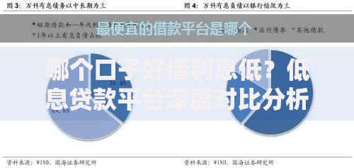 哪个口子好借利息低？低息贷款平台深度对比分析
